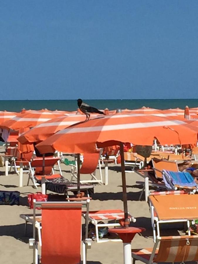 Verde Mare "Appartamenti Per Vacanze" Tortoreto Ngoại thất bức ảnh